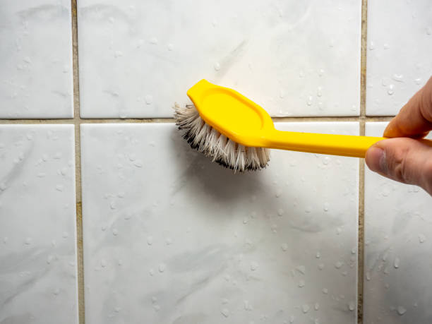 Best Emergency Mold Removal  in Racend, LA