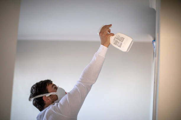 Best Attic Mold Removal  in Racend, LA